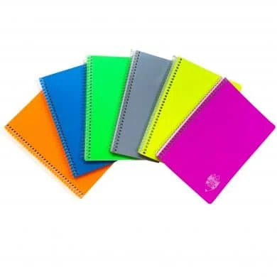 Set 10 caiete DICTANDO A5 spirala  144 file coperta plastic Daco