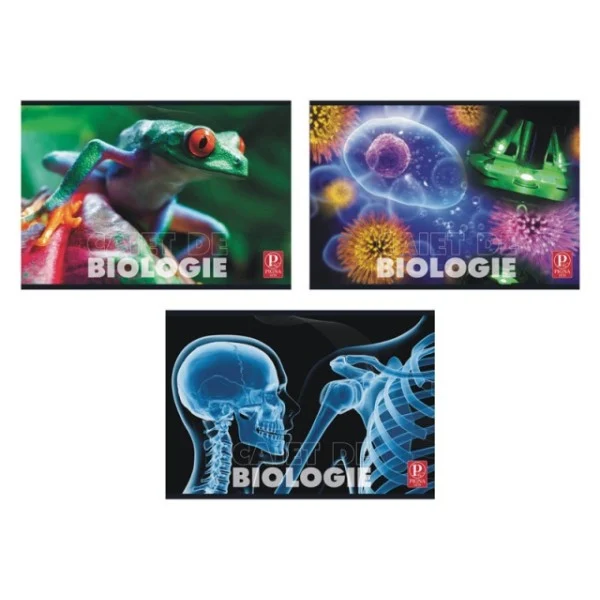 Caiete A5 - Set 5 caiete Pigna BIOLOGIE 24 file