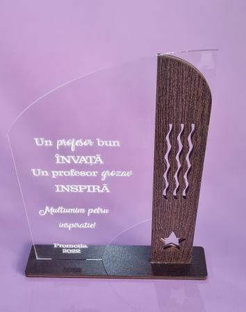 Trofee/ plachete - Trofeu plexiglass model 2 profesor/a