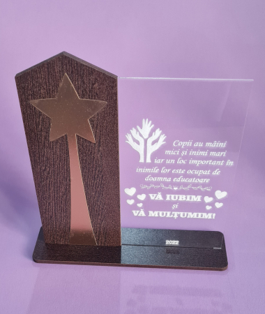 Trofee/ plachete - Trofeu plexiglass model 3 invatator / educator stea aurie