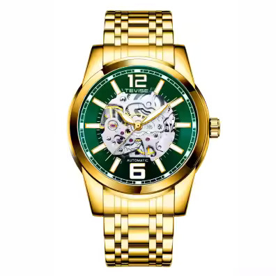 Ceasuri barbatesti - Ceas barbatesc de mana Tevise Elegant Casual Fashion Mecanic Automatic Business Auriu