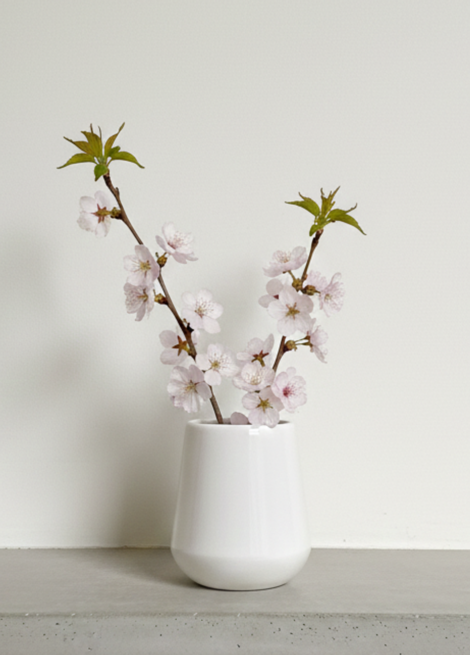 Ghiveci Classic White Touch 25cm [2]