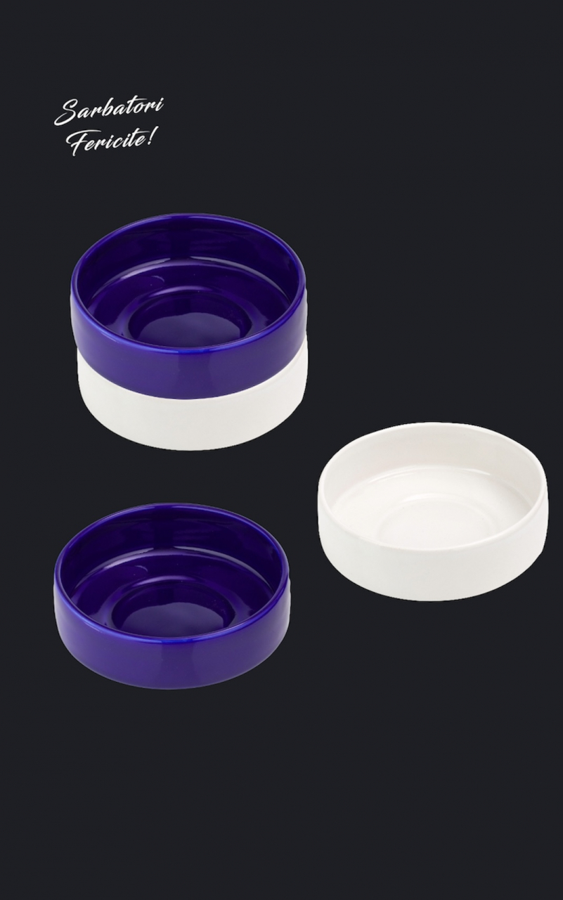 Set Cadou 4 Boluri Japan (2 Boluri Alb Casablanca 400ml + 2 Boluri Arhitect Cobalt 400ml) [4]