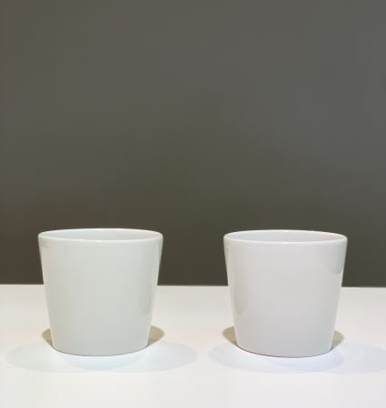 Obiecte Decorative - Ghiveci Basic White Mic