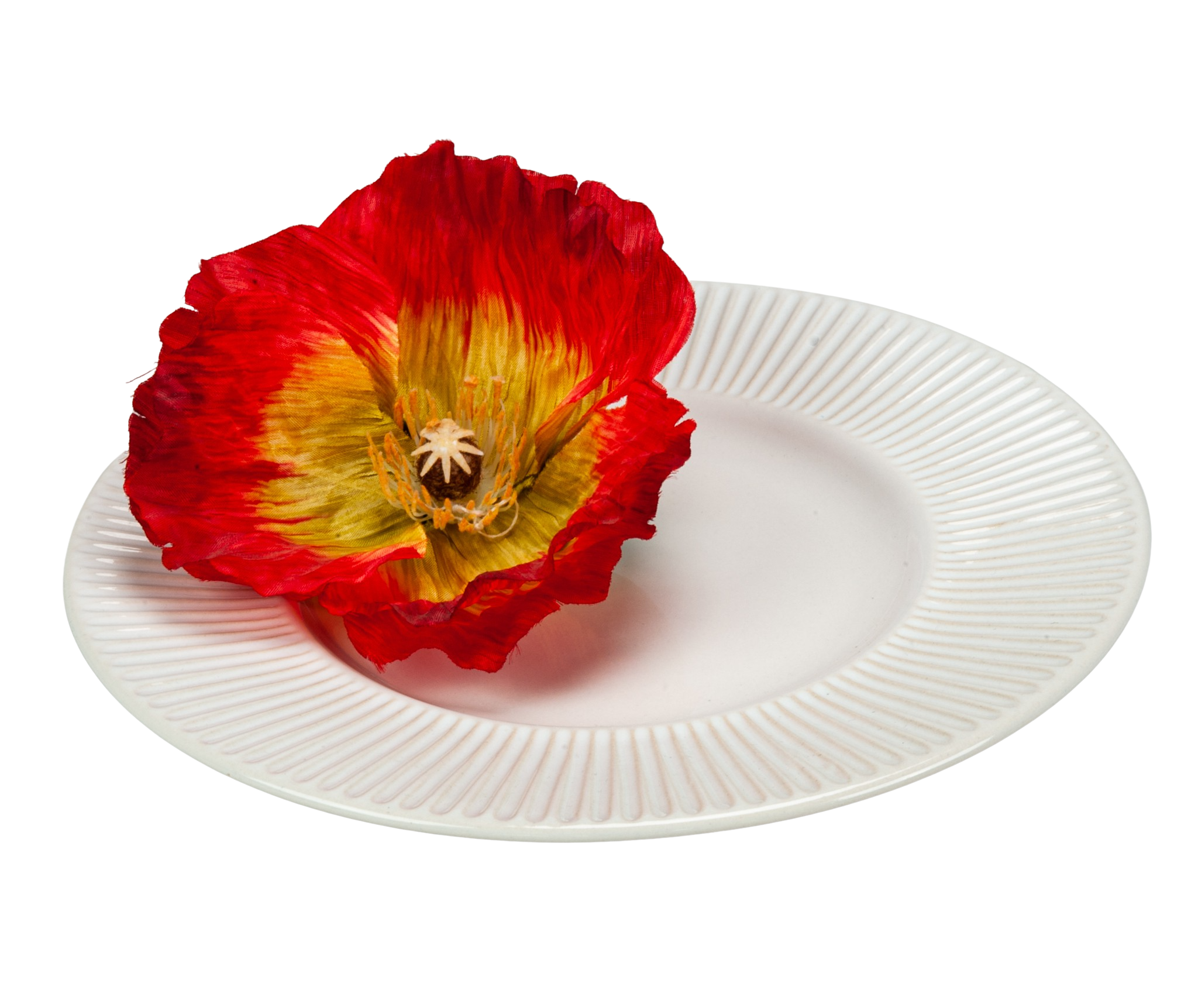 Farfurie Mare Întinsa Soleil Alb ( 27 cm diametru) [1]