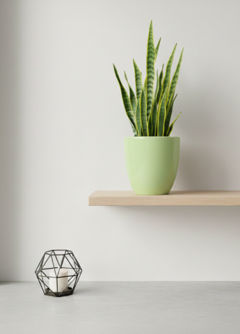 Obiecte Decorative - Ghiveci HOME Verde Lime (Diametru 13cm Inaltime 14cm) mască ceramică flori