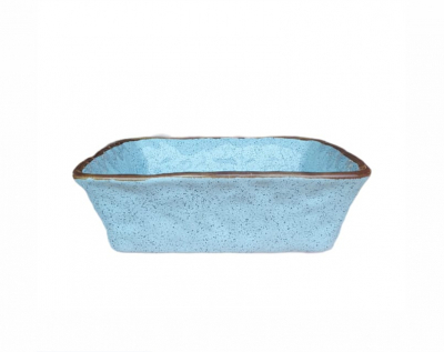 Vas Termorezistent Pentru Cuptor 22cm [6]