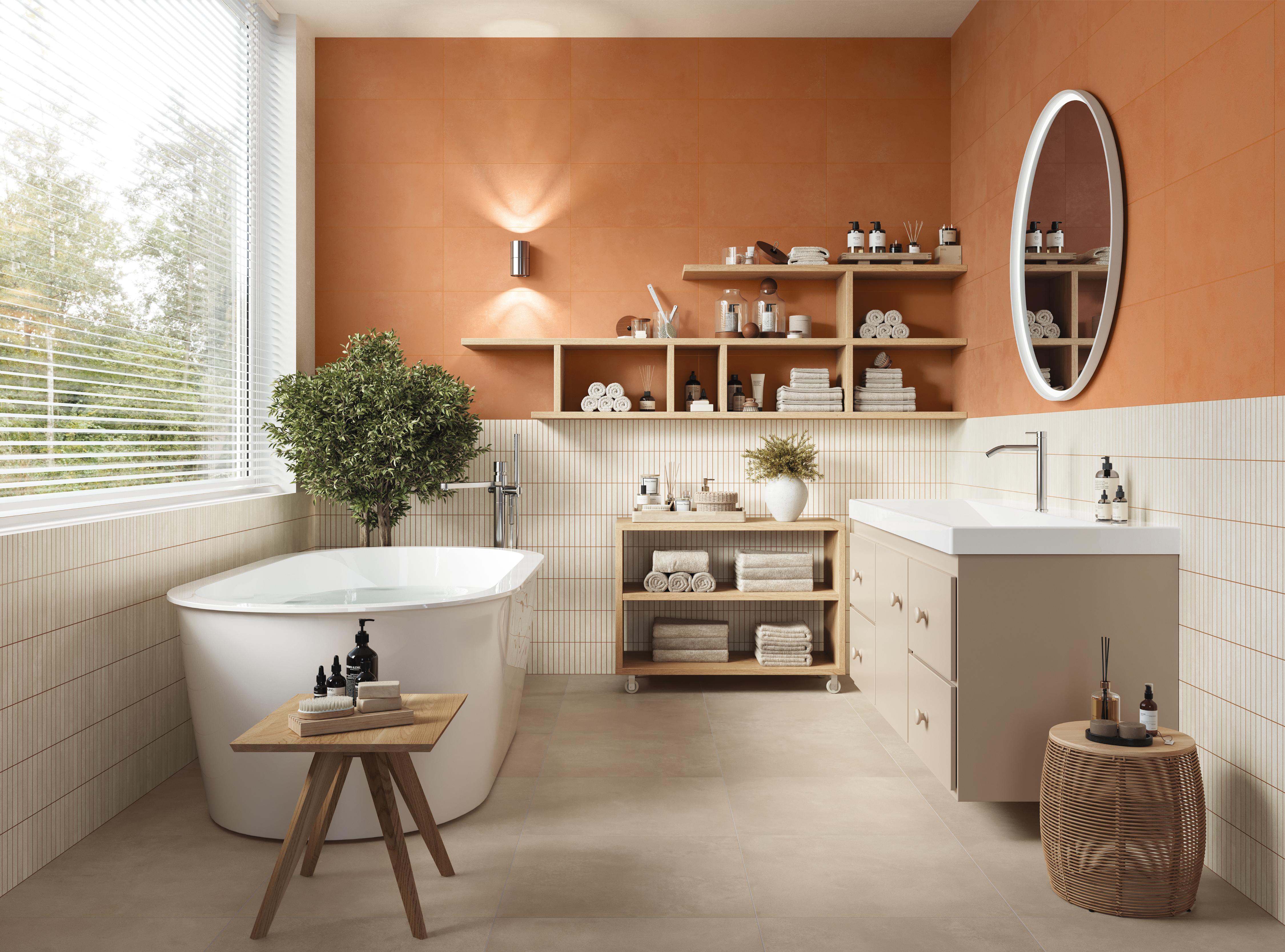 Cum alegi plăci ceramice pentru baie în proiecte premium