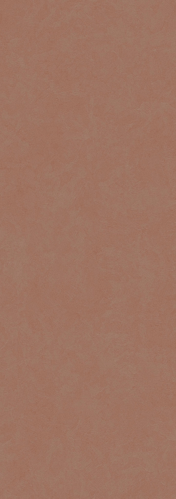 Acero [6]