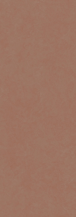 Acero [5]