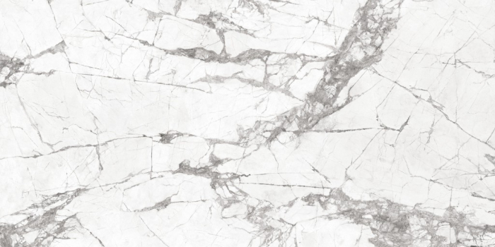 FUSION WHITE [5]