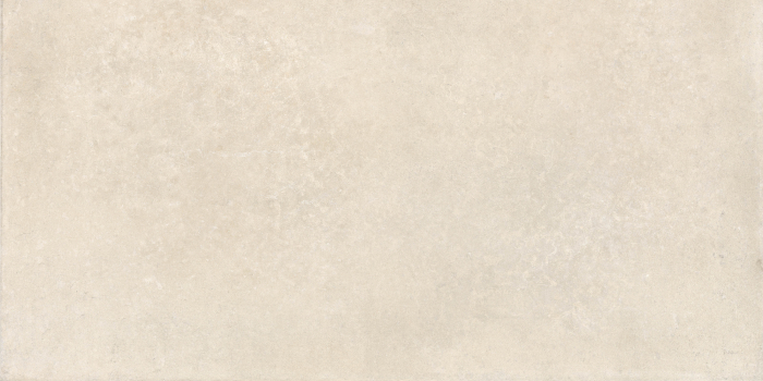 Placi ceramice portelanate Imola Crew Umani 60x120 [4]