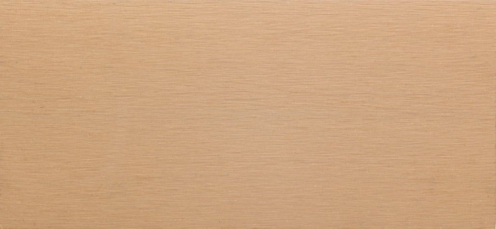 Deck WPC EnPleinir POWER Larici 21x140 [2]