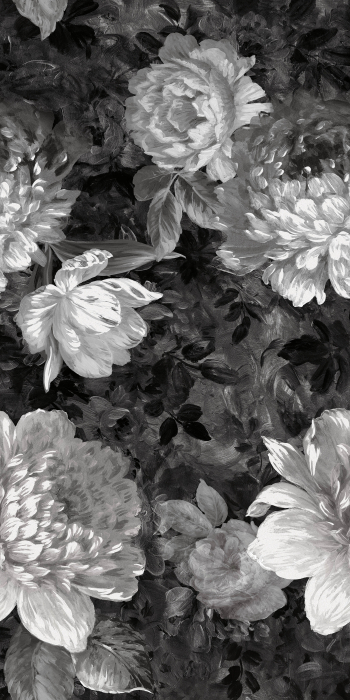 Decor [14]