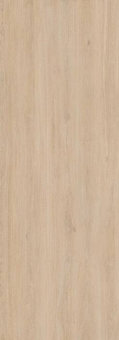 Enoki [3]