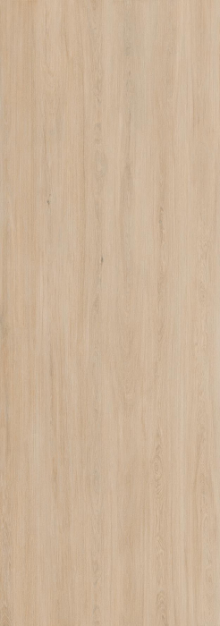 Enoki [2]