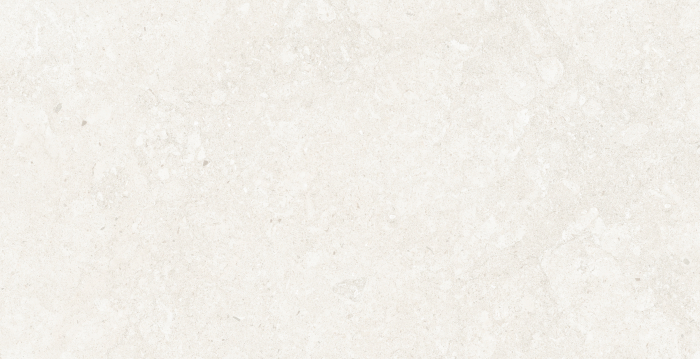 Placi ceramice extrudate Exagres Bedford White 60x120 [2]