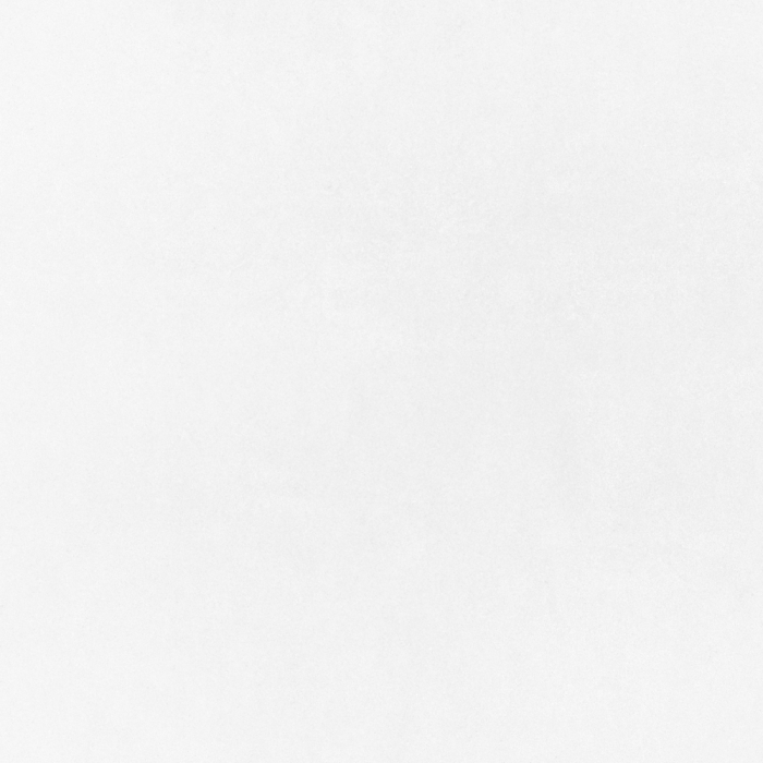 MICRON 2.0 [13]