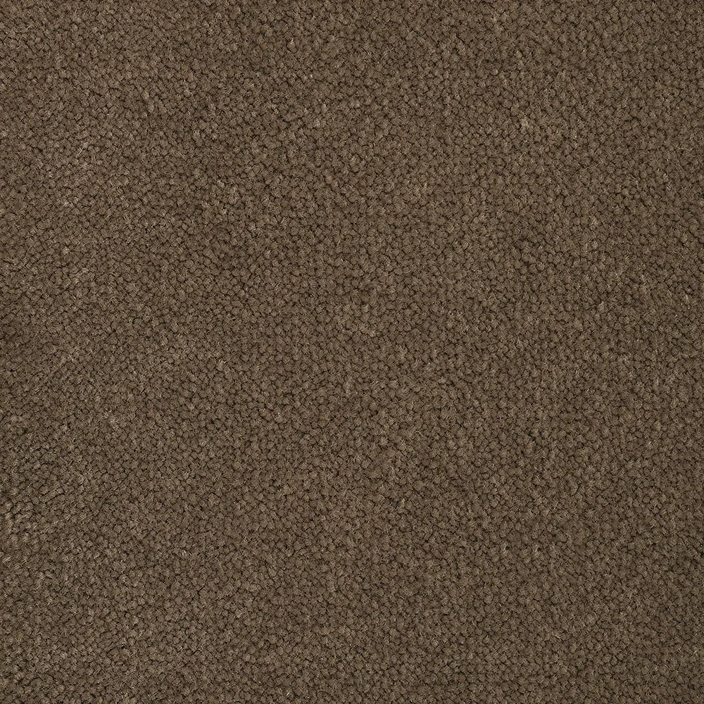 Mochet premium Italia Bloom Back [19]