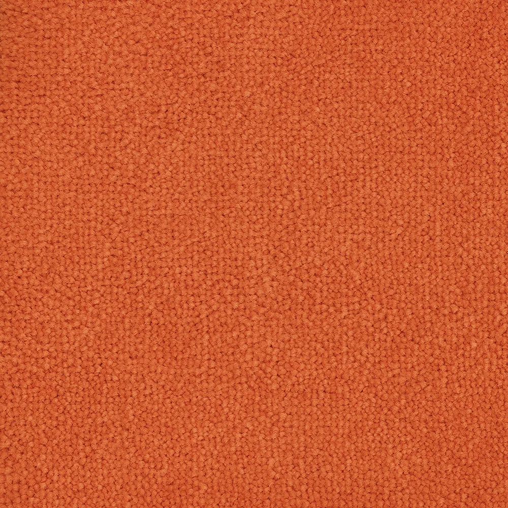 Mochet premium Italia Bloom Back [3]