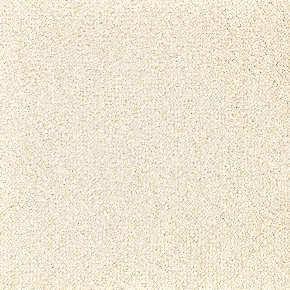 Mochet premium Italia Bloom Back [12]