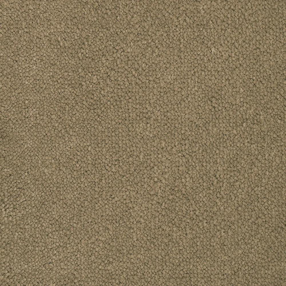 Mochet premium Italia Bloom Back [11]