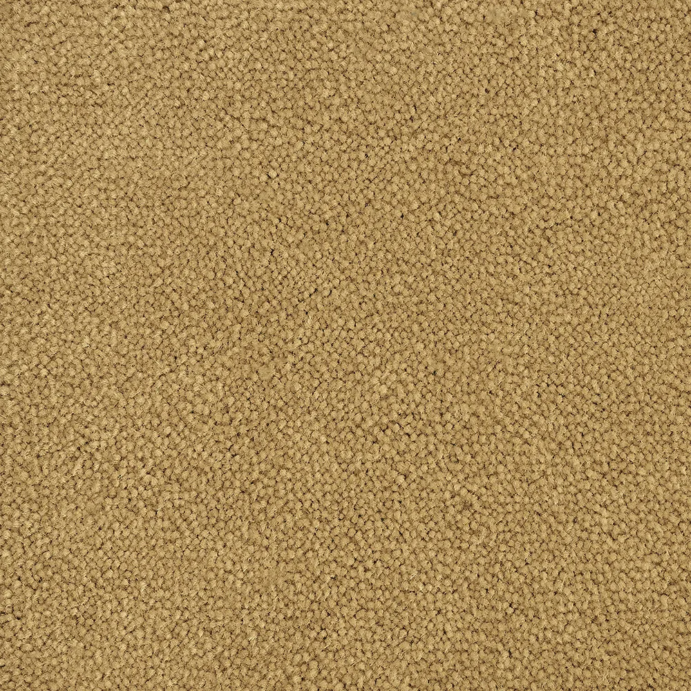 Mochet premium Italia Bloom Back [21]