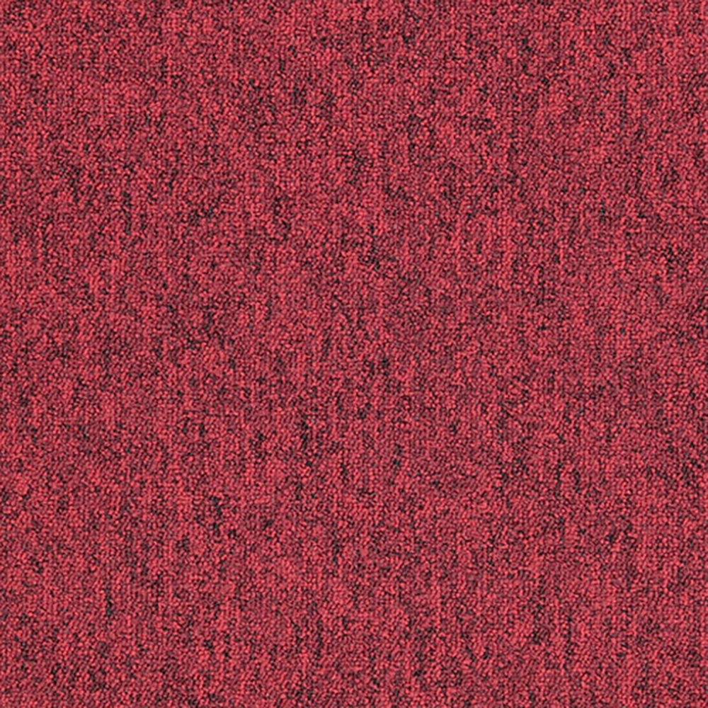 Mochet premium Italia Bologna + Bologna Linea [7]