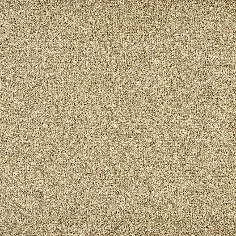 Mochet premium Italia Comprima [11]