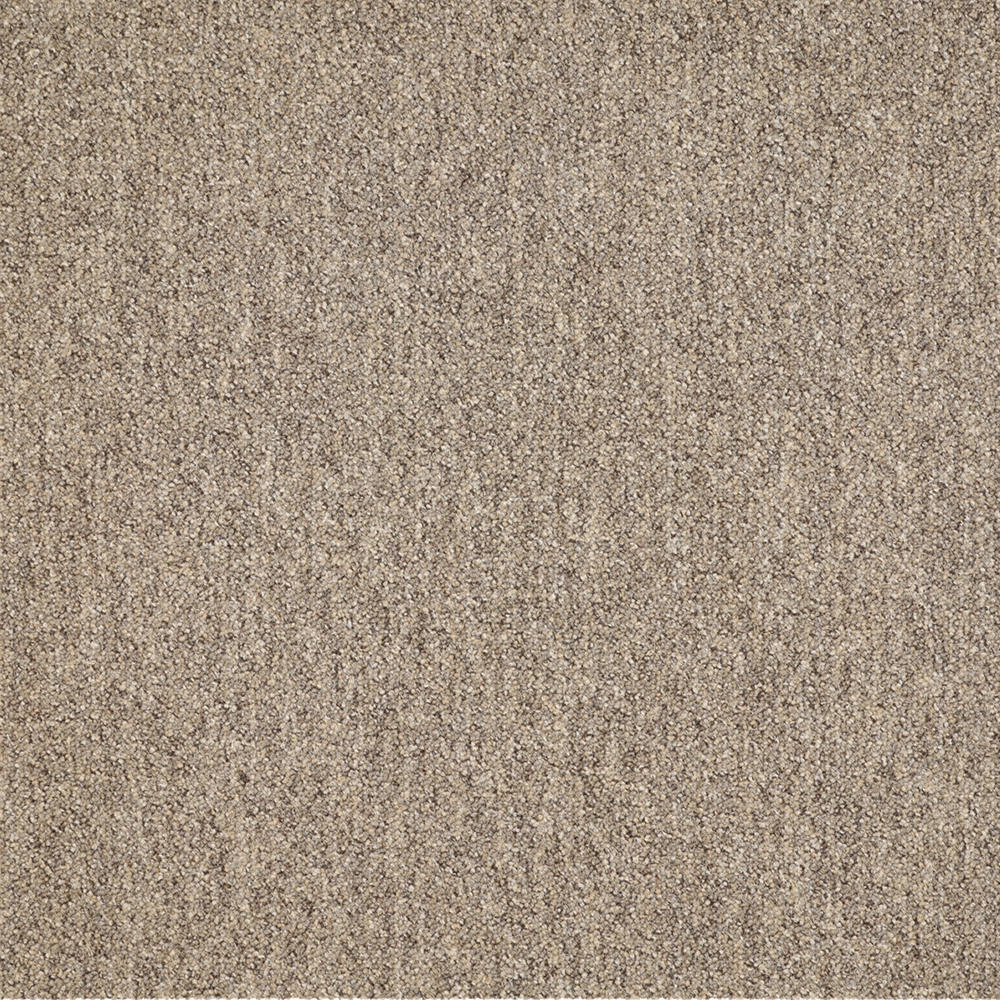 Mochet premium Italia Ferrara [9]