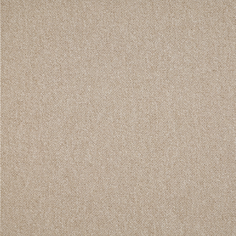 Mochet premium Italia Ferrara [10]