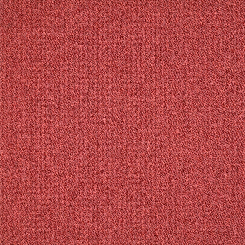 Mochet premium Italia Ferrara [19]