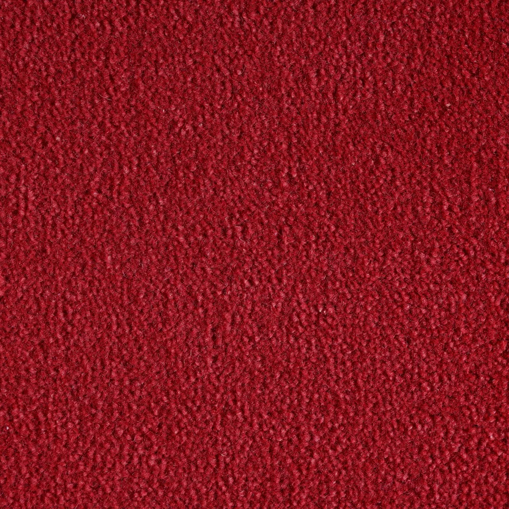 Mochet premium Italia Montecarlo [12]