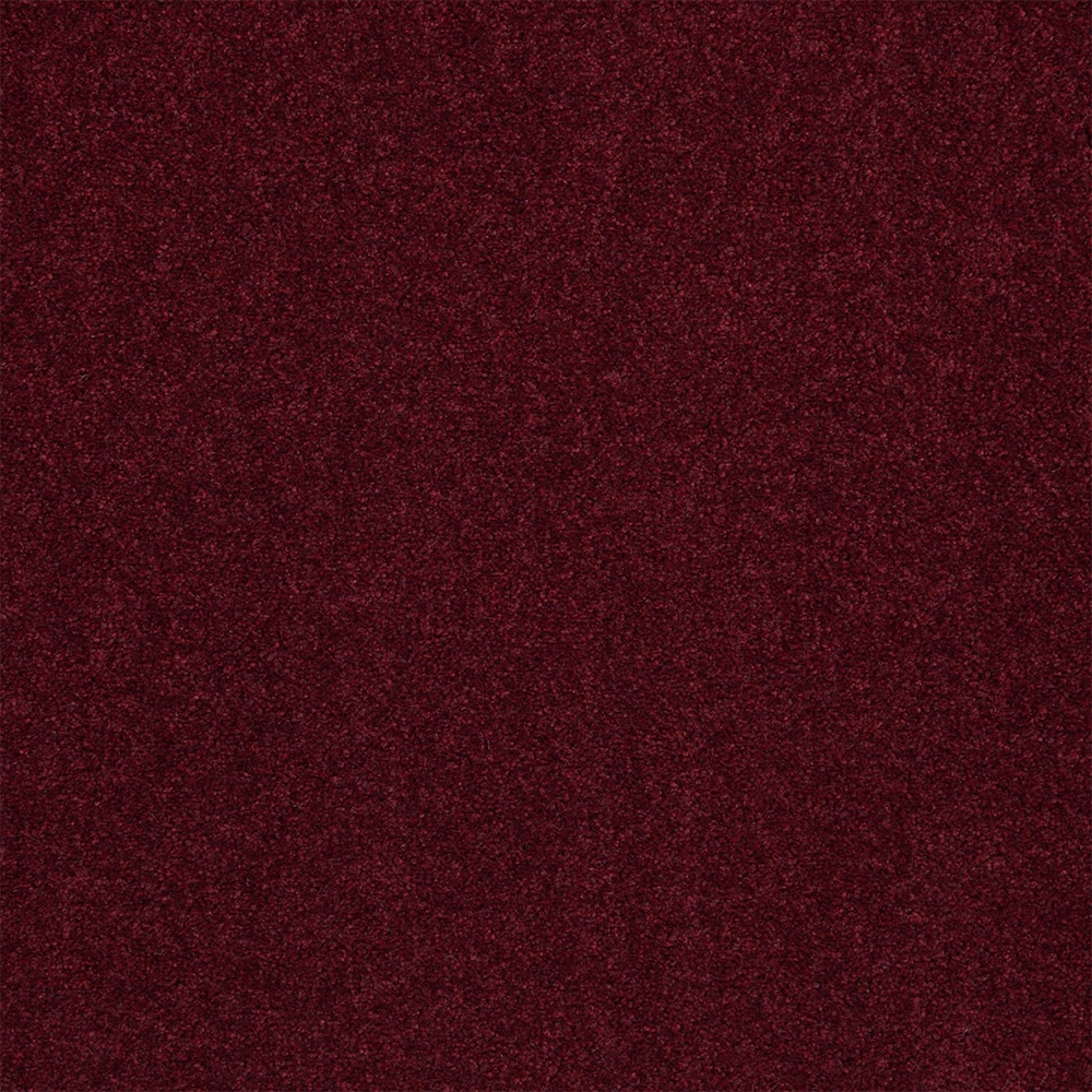 Mochet premium Italia Parma [11]