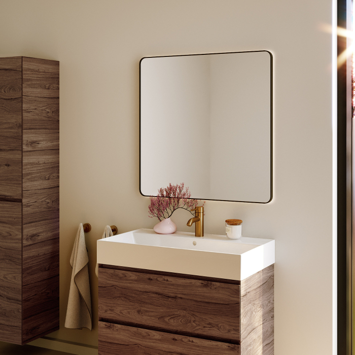 OGLINDĂ CU RAMĂ [3]