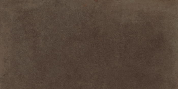 Placi ceramice portelanate Imola Oxyd 60x120 [6]