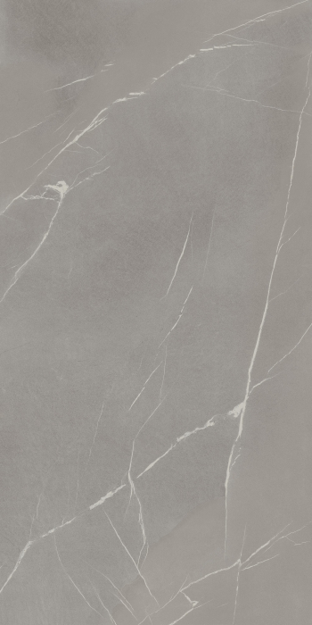 Pietra Piasentina Grigio [1]