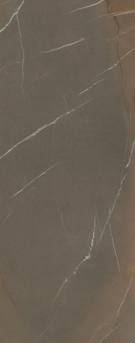 Pietra Piasentina Taupe [4]