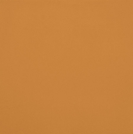 Placi ceramice portelanate Casalgrande Padana Unicolor [6]