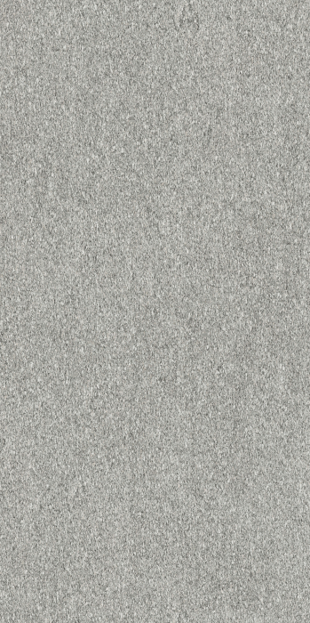 Placi ceramice portelanate Florim Biotech 120x240 [6]
