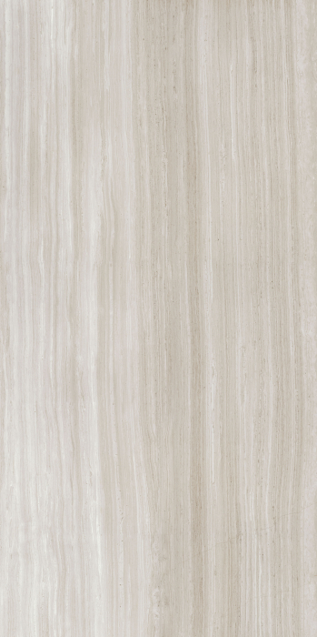 Placi ceramice portelanate Florim Biotech 120x240 [10]