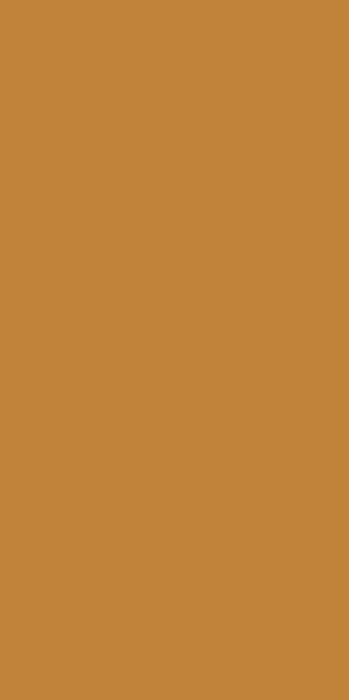 Placi ceramice portelanate Florim Buildtech/2.0 120x240 [3]