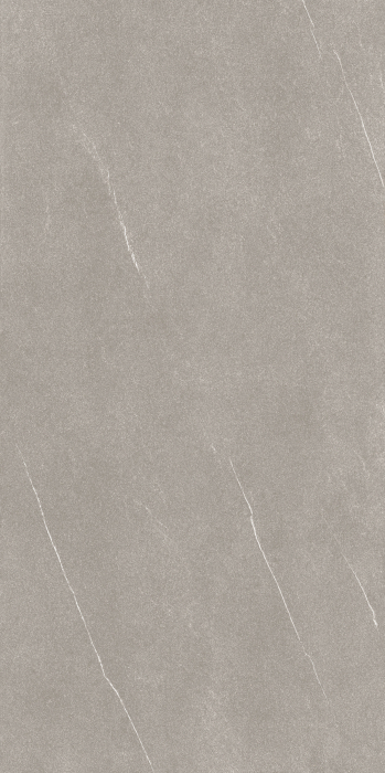 Placi ceramice portelanate Florim Coretech Brushed Light 120x240 [3]