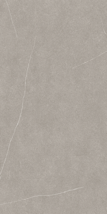 Placi ceramice portelanate Florim Coretech Brushed Light 120x240 [4]