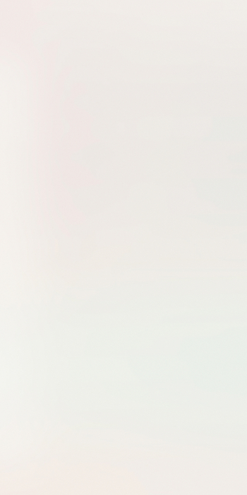 Placi ceramice portelanate Florim Cromatica Bianco 120x240 [2]