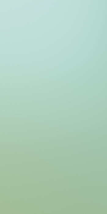 Placi ceramice portelanate Florim Cromatica Verde 120x240 [2]