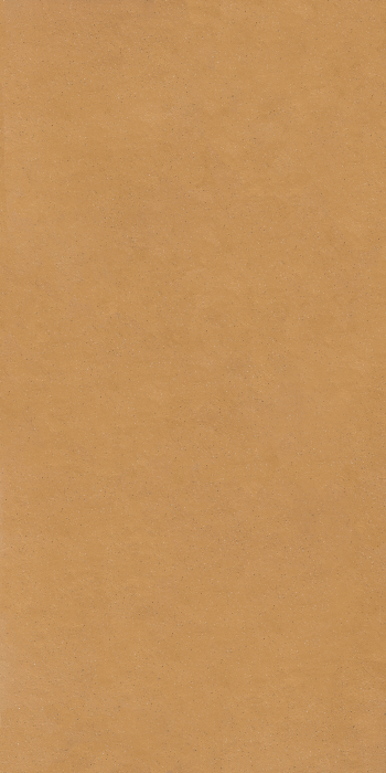 Placi ceramice portelanate Florim Earthtech 120x240 [6]