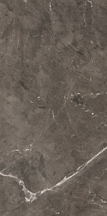 Placi ceramice portelanate Florim Heritage Brown 120x280 [2]