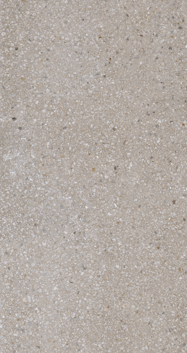 Placi ceramice portelanate Florim Match-Up Earl Grey Mix 120x24 [3]