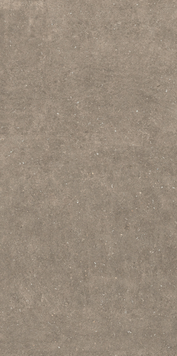 Placi ceramice portelanate Florim Rinascenza Arena Pietra 120x240 [5]